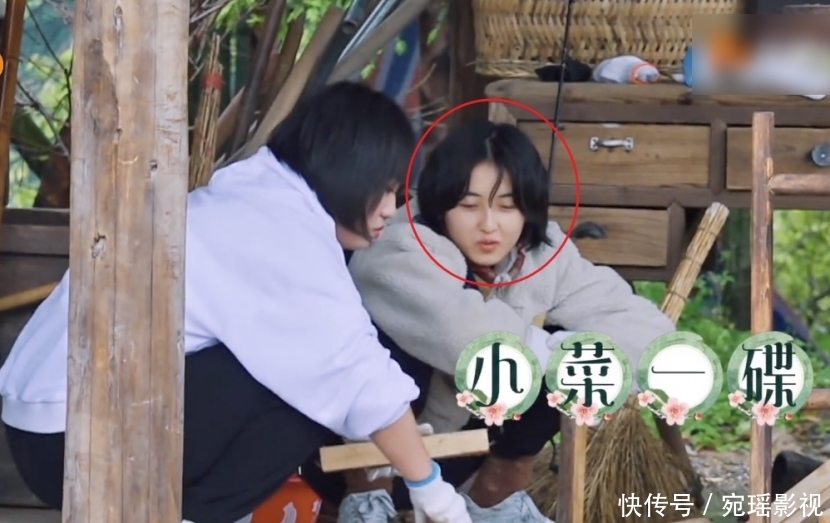 新嘉宾 蘑菇屋陈赫李诞还在,新嘉宾就砸场子超勤快,何炅都忍不住内涵