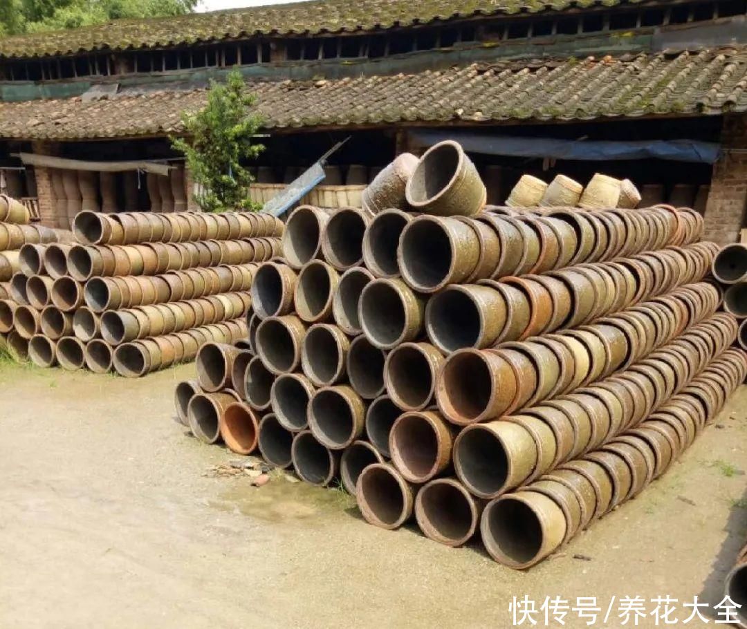 过完年，垃圾桶周围多了不少花，又要开始捡破烂儿了