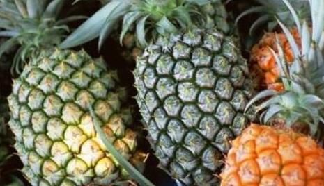 秋天|秋天很有营养的3种食物，要学会天天吃一些，排毒养颜，滋润肌肤