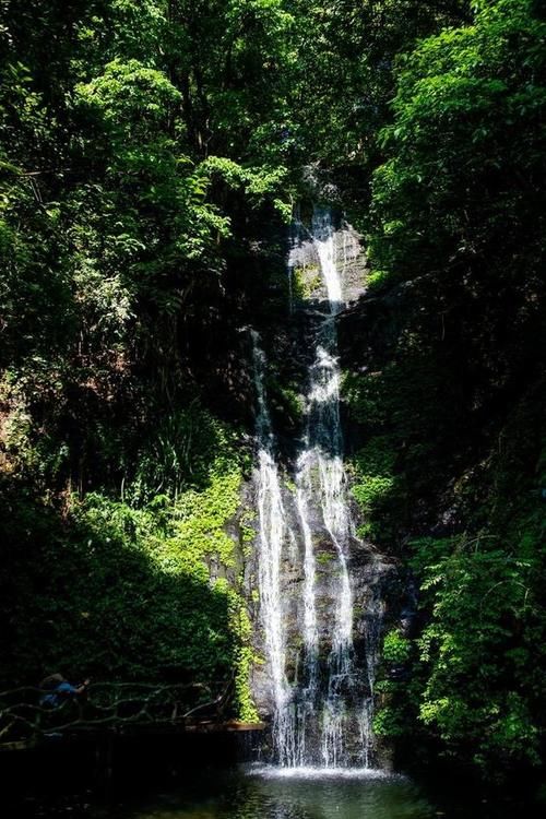 柳州有个超纯净的景区，流水潺潺是天然氧吧，快来此体验原始生活