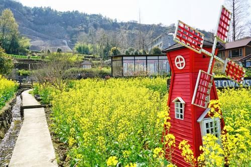 宁波有个古村落，高山梯田油菜花开得正艳，是春天赏花的好去处