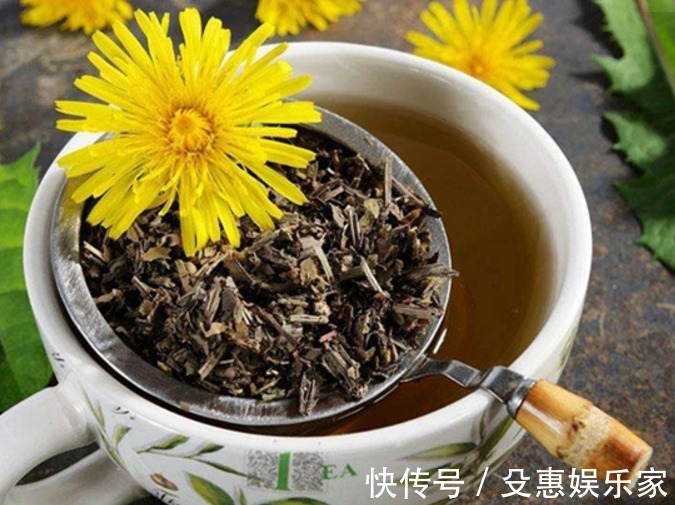 野草|蒲公英被称“野草之王”，但需牢记3大禁忌，当心养出一身病