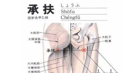  保健|人体一大保健穴，承扶穴，清除排毒，有疾可除，无疾保健