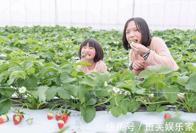 表姐|为孩子好,父母别再给吃这些食物,相当于害了孩子