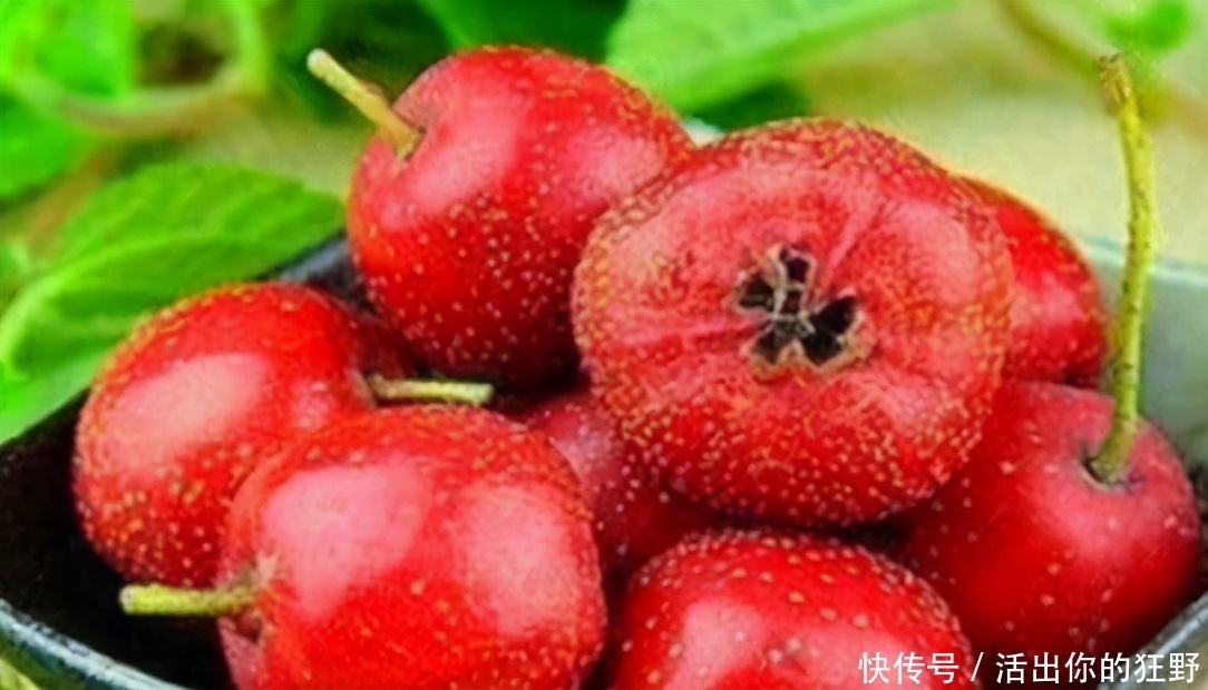 冬天养生正当时,3种食物不能少,补充营养,身体棒棒哒