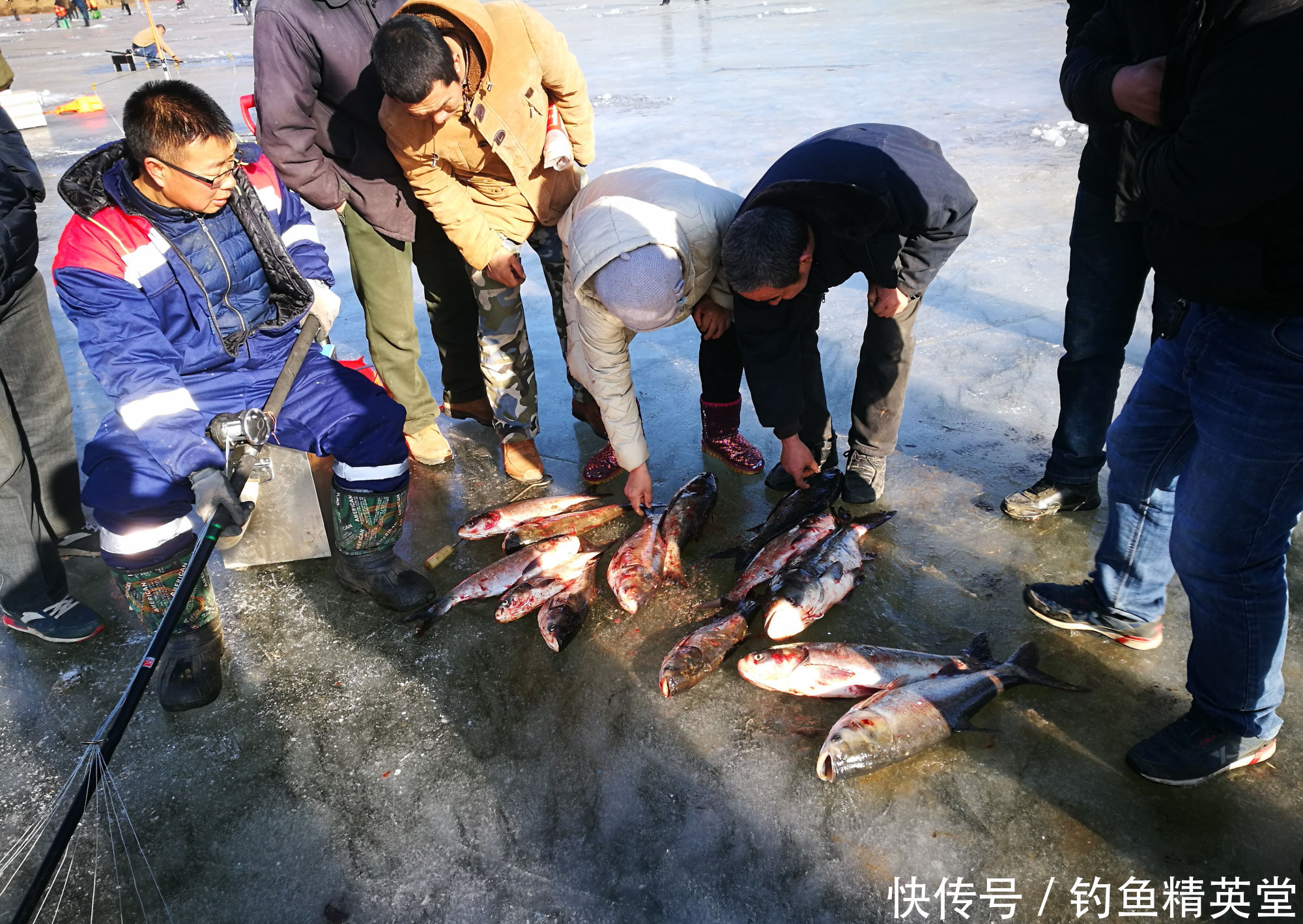 这种钓鱼方式在北方的冬天特别盛行，为什么被很多人不齿