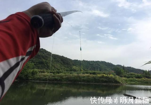浮漂|挑选浮漂要讲方法,老钓手分享“四步选漂法”,实用又省钱