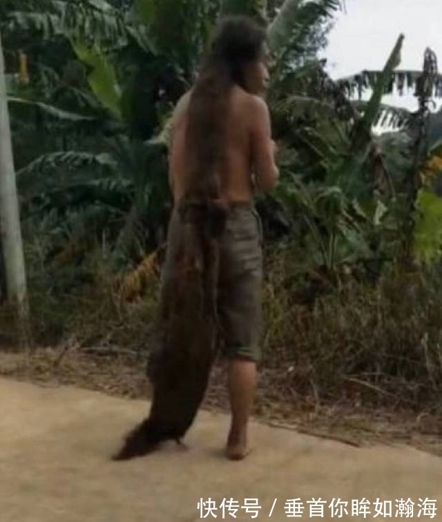 理发|男子30年不洗头不理发，一身全是虱子，被人们称之为野人