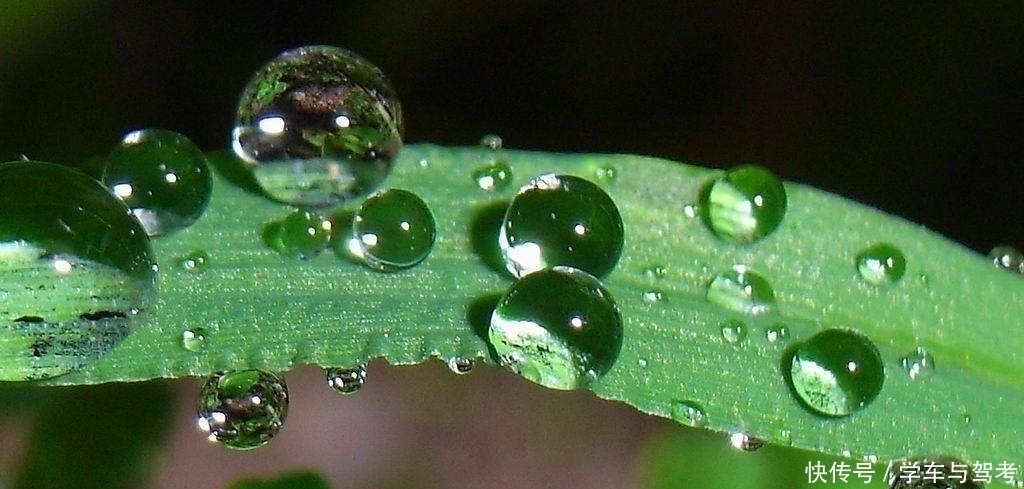 醉乡路@李煜一首小词,写尽浮生过客的忧伤,令人不忍卒读,却惊艳了岁月