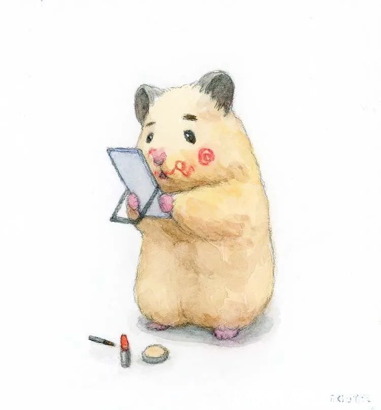 小仓鼠&他的插画主角是一只仓鼠,可爱的举动,萌到心都化了