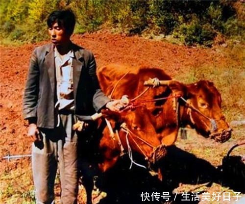 专家|最低调的文物专家鉴定3次皆为赝品,他50元买下,如今价值上亿