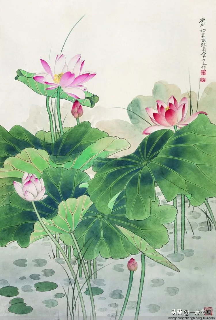 芙蓉#俞致贞 画荷，芙蓉出水，风情无限