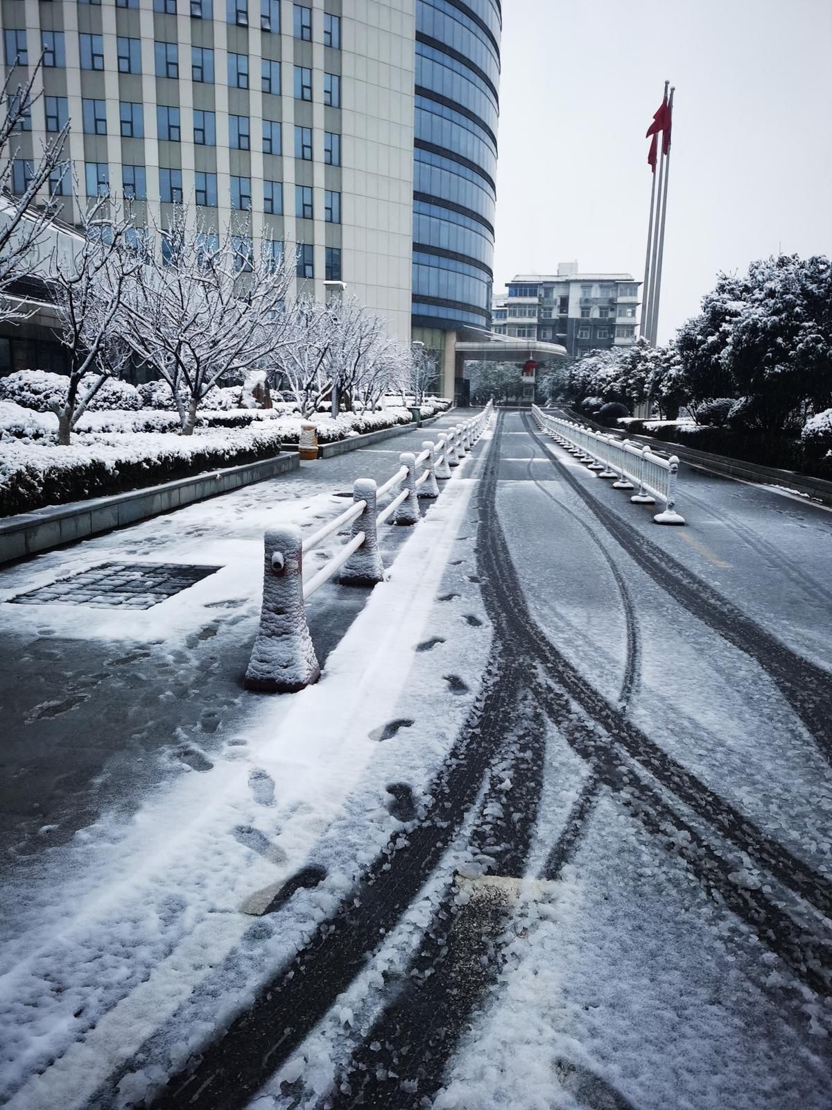 雪下|雪下一整夜 武汉披白衣