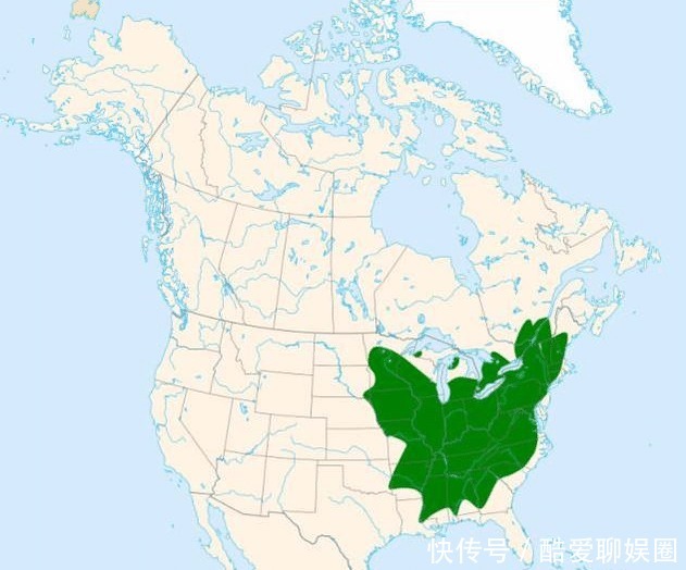 乐坏了|中国人参比黄金贵,西方人乐坏了:我们那漫山遍野都是!