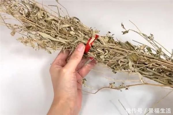 艾草|过完端午节,赶快把门口的艾草收回来,现在知道不算晚,告诉家人