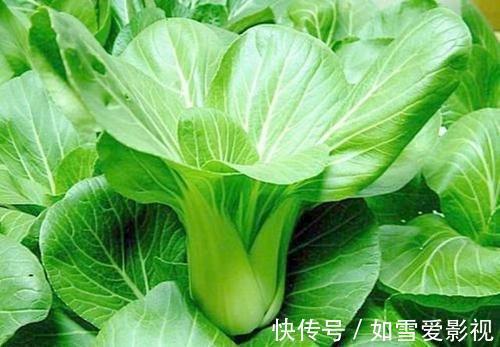 放入冰箱|馒头放冰箱超三天,会产生黄曲霉?医生:不宜放冰箱的是三种蔬菜