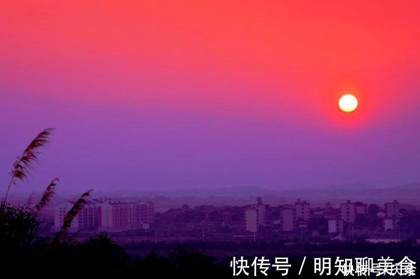 酬乐天咏老见示$刘禹锡晚年写下一诗,对待人生的积极态度,让人受益无穷