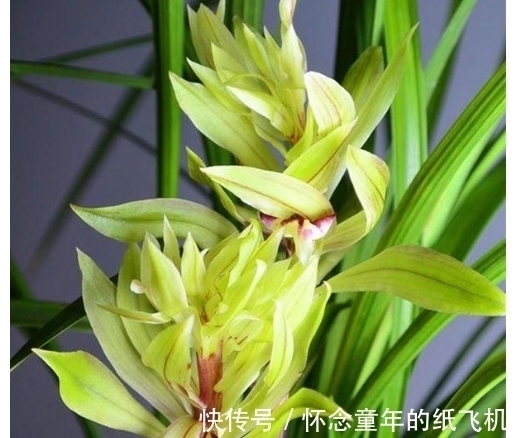 别看人家赚几百万，你一旦跟风就得交智商税！