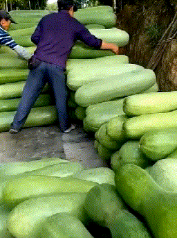 |搞笑GIF：霸气了我的姐 这辈子见过最拉风的走路姿势