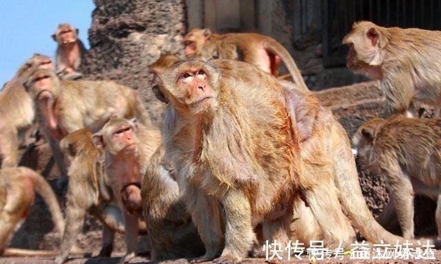 禅让#尧舜禹之间真是和平禅位?考古却发现尧死于战火,学者:人性本恶