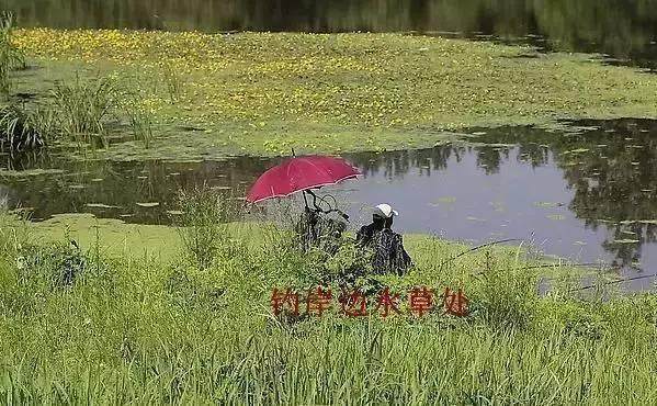 野钓找钓位就用这8招，用熟练了，不打窝子都能钓鱼