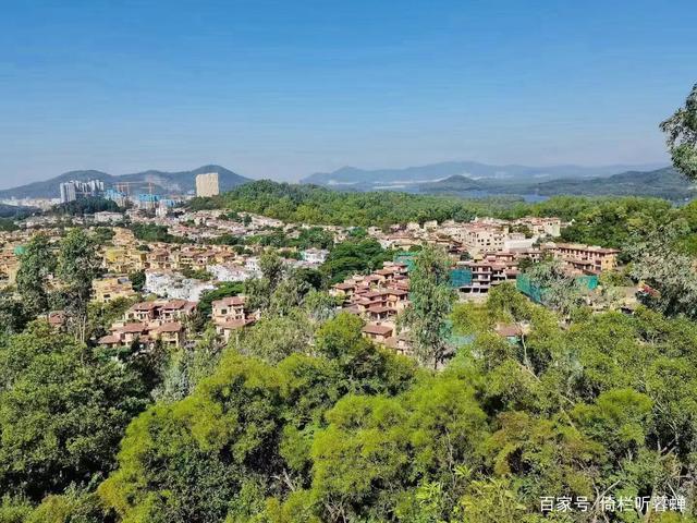 《七绝.初冬印象》霜染苍茫已入冬，枝条飞叶落无穷