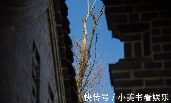 棣花驿|寻访秦岭清风街，因一本书而改名，连店名都和小说里面的一模一样