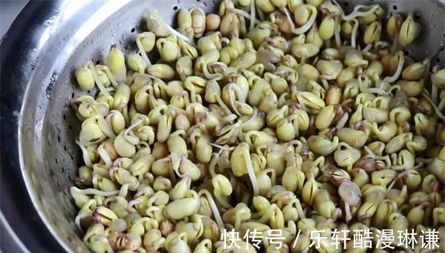 想吃|在家发豆芽原来那么简单,教你一招,想吃豆芽不用上街买了