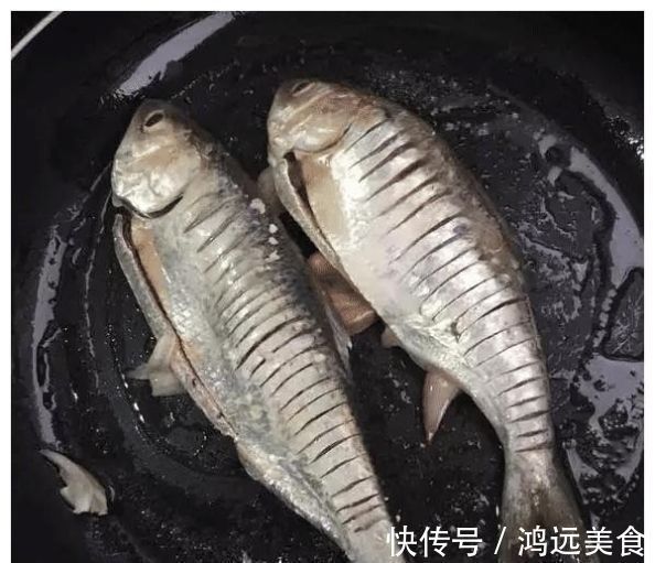 这鱼比草鱼刺少,比鲫鱼营养,比甲鱼肉多,价格不贵却被人遗忘