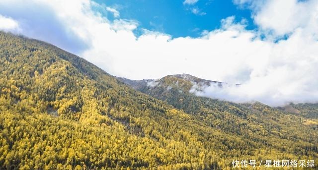 人间仙境喀纳斯，一年四季景色各不同，是新疆必打卡的景点之一