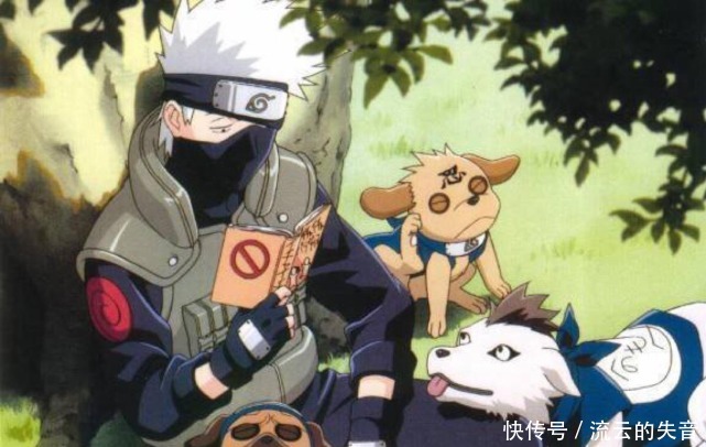 博人传|火影卡卡西与忍犬相处的方式,小时候当坐骑,长大后成家人