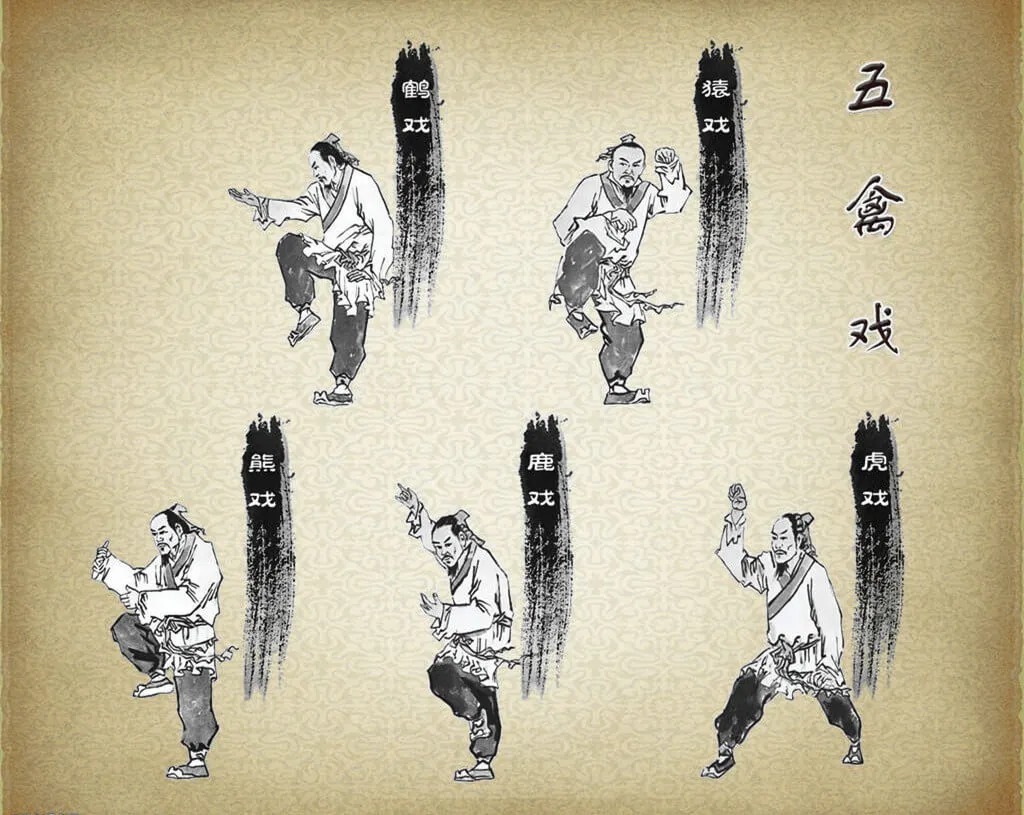 正气|一个“气”字 读懂免疫力