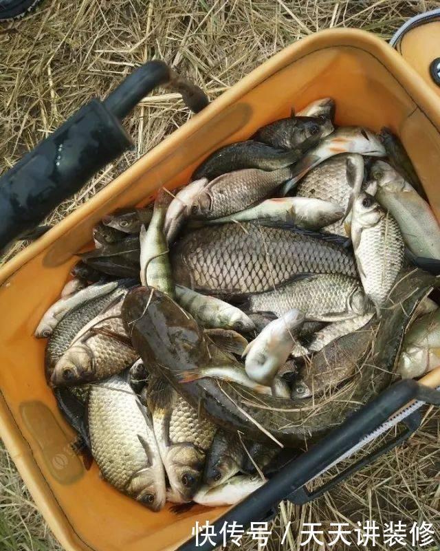 初春野钓想钓大鲫鱼吗?告诉你3点轻松避开小杂鱼