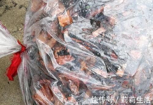 腐殖土|营养土的自制方法，兰友说：这样就简单了，明天开始做