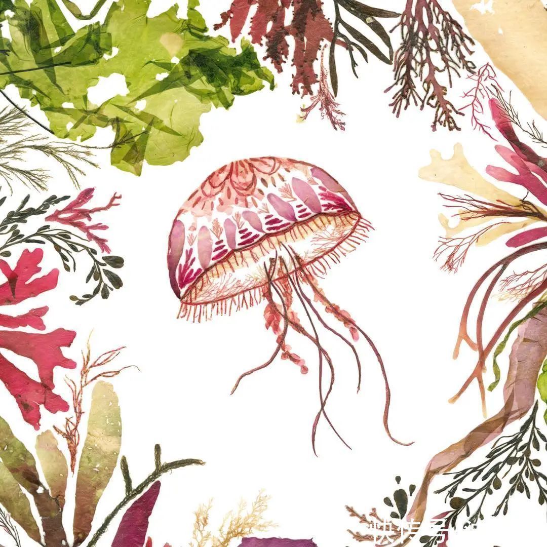 艺术作品&她画画的材料是花瓣,工具是把刀,直接用刀刻出画