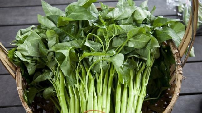 草酸|补钙只知道牛奶和钙片?6种绿叶菜含钙比牛奶还高