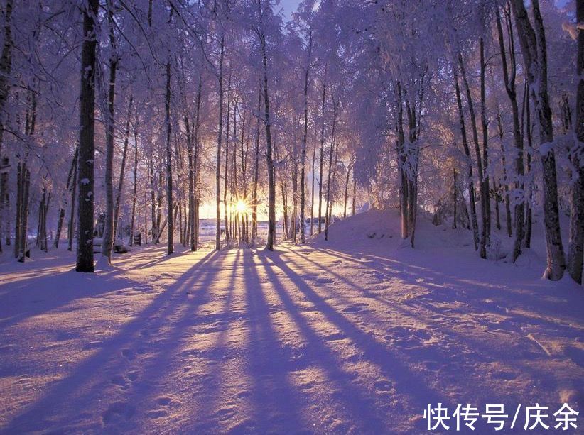 千树万树！岑参很经典的边塞诗，只是开篇描写的雪景，便足以美艳千年