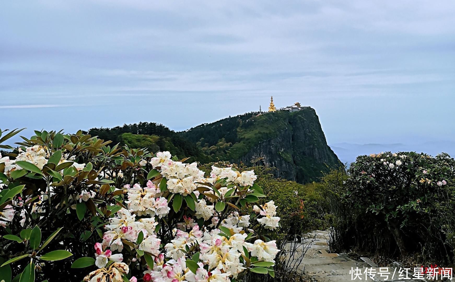 云海|峨眉山最高峰万佛顶时隔15年重新开放：目前只能步行，暂不对60岁及以上老人开放