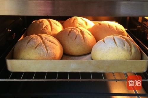 麻薯|麻薯包的懒人做法,拌一拌揉一揉,个个软糯又Q弹