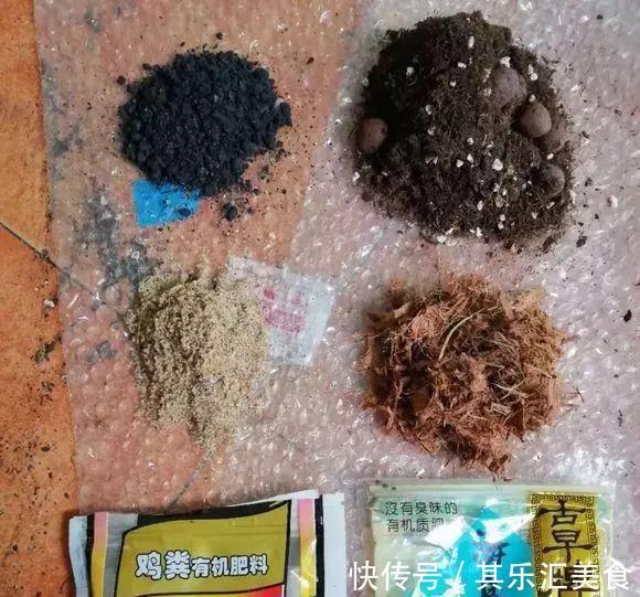 养花技巧:养花别用这种盆,养啥死啥,1棵都不剩