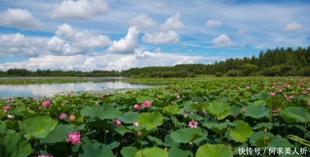 高瞻|两首传世久远的七绝,高瞻与韦庄的对比,却都很精彩!