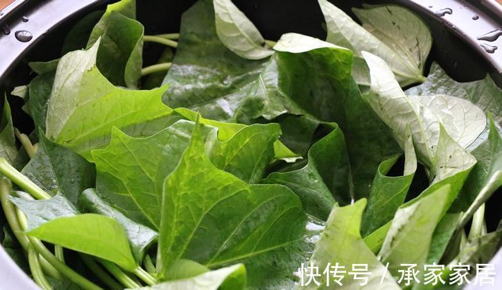 蒜香红薯叶|红薯叶煮鸡蛋，作用实在是太厉害了，省钱又实用，很多人都不晓得