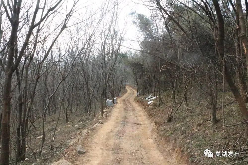 “天梯”串起山间美景！苏湾镇大寨山游客步行道即将开放！