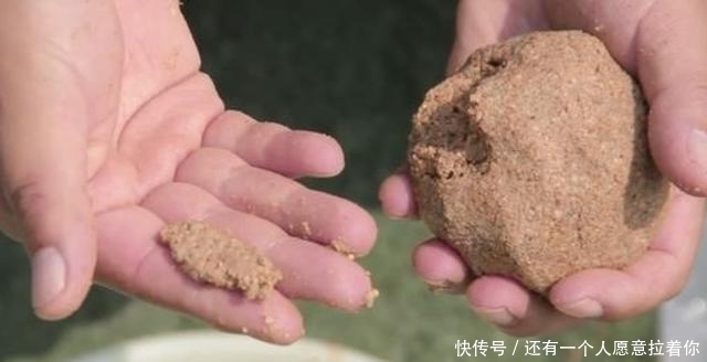 拉饵|二十年老钓手再次提醒,到了秋天,唯独这样一套用饵方式才最关键