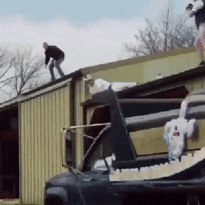 |搞笑GIF：这只小猫咪是来碰瓷的吗？原来是有惊无险，哈哈哈