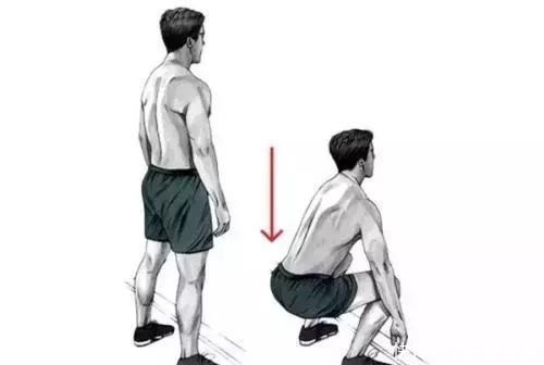 男女|男女同时做深蹲, 3个月后会有什么改变