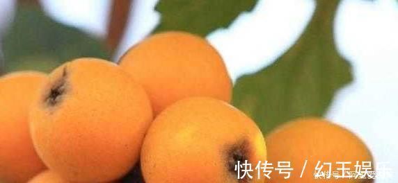 降脂|养生,推荐吃4种水果,排毒素清,降脂减肥,改善血脂血糖