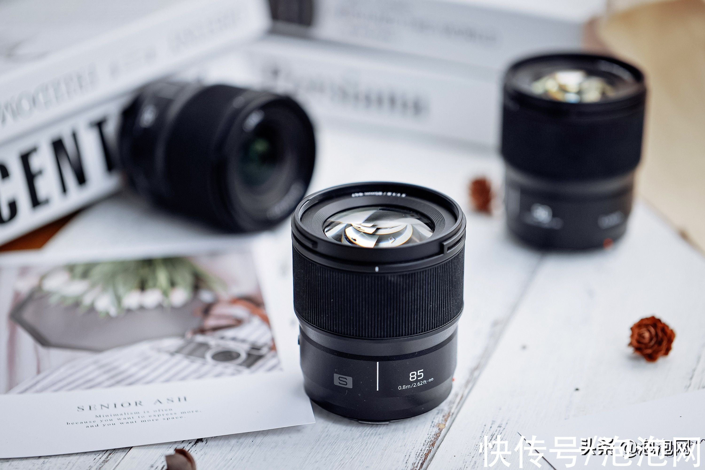 F1.8军团|同体型同口径！松下“F1.8军团”全画幅微单镜头图赏