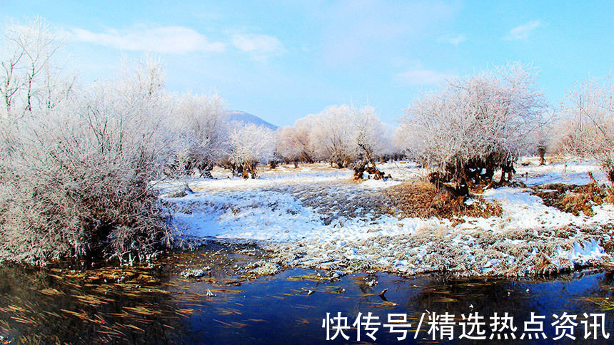 霜雪|中俄边境小城额尔古纳市迎来今年首场雾凇景观