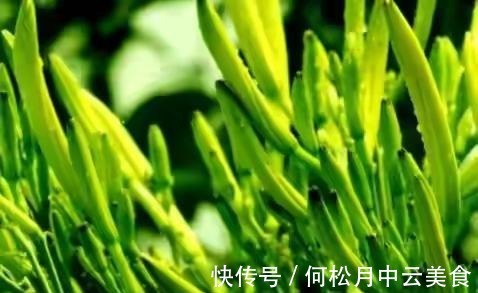 江南人|60种常见野菜,高清大图,收集全了真不容易!
